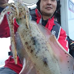 シースナイパー海龍 釣果