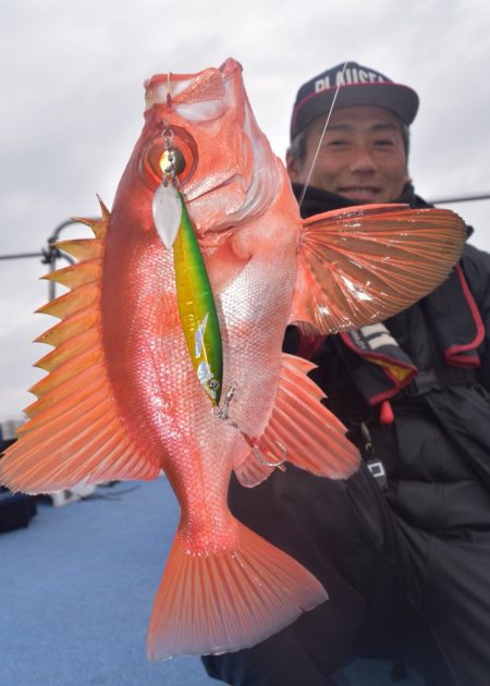 渡船屋たにぐち 釣果