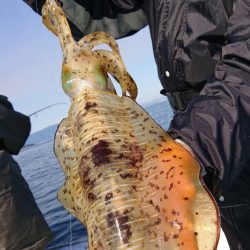 シースナイパー海龍 釣果