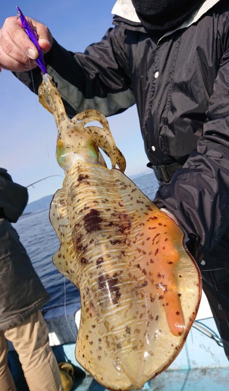 シースナイパー海龍 釣果