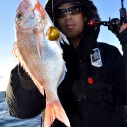 渡船屋たにぐち 釣果