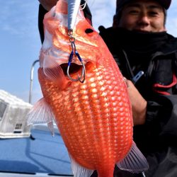 渡船屋たにぐち 釣果