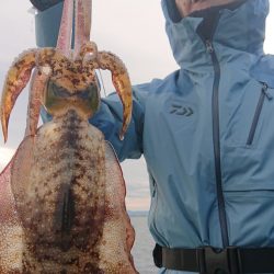 シースナイパー海龍 釣果