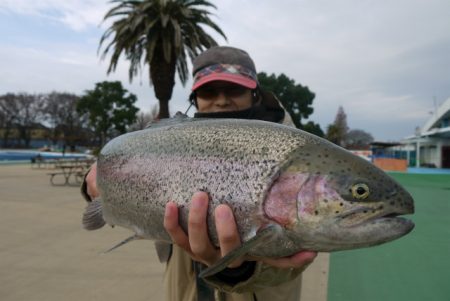 としまえんフィッシングエリア 釣果