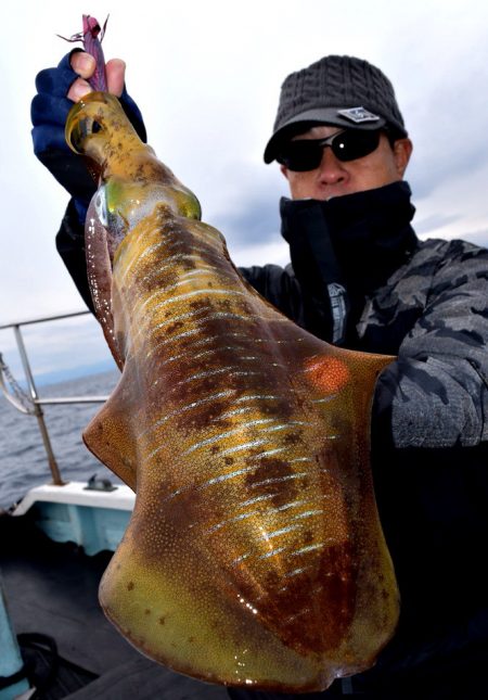 渡船屋たにぐち 釣果