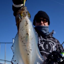 渡船屋たにぐち 釣果