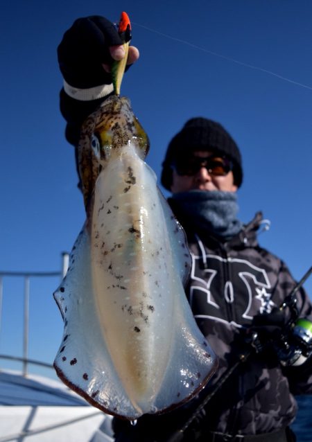 渡船屋たにぐち 釣果