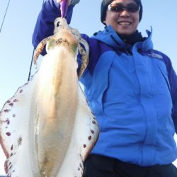 ブルースフィッシングサービス 釣果