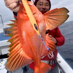 渡船屋たにぐち 釣果