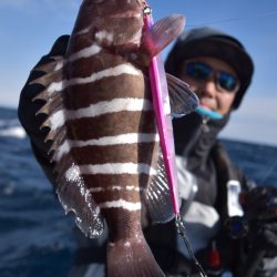 渡船屋たにぐち 釣果