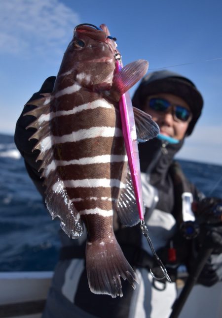 渡船屋たにぐち 釣果