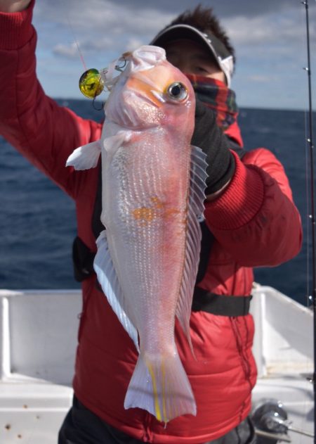 渡船屋たにぐち 釣果