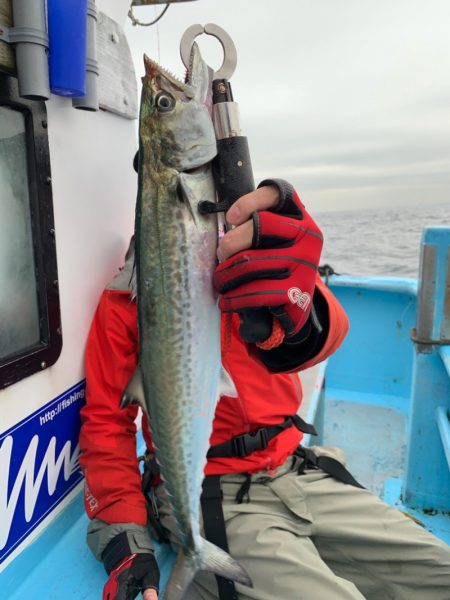 みやけ丸 釣果