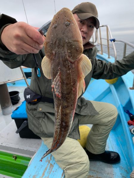 みやけ丸 釣果