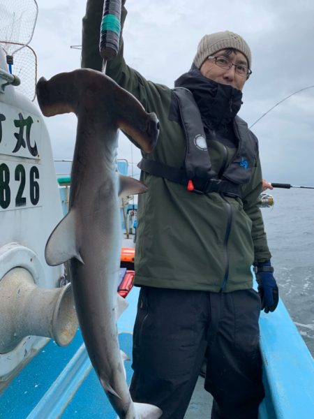 みやけ丸 釣果