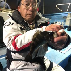 ヤザワ渡船 釣果