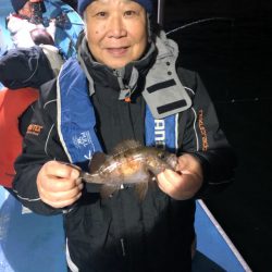 ヤザワ渡船 釣果