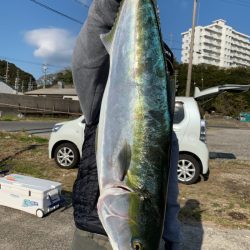 みやけ丸 釣果