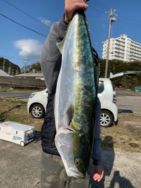 みやけ丸 釣果