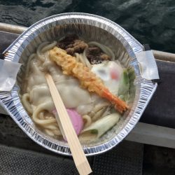 遊漁船メテオ 釣果