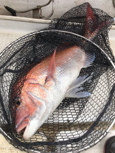 龍神丸（鹿児島） 釣果