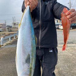 みやけ丸 釣果