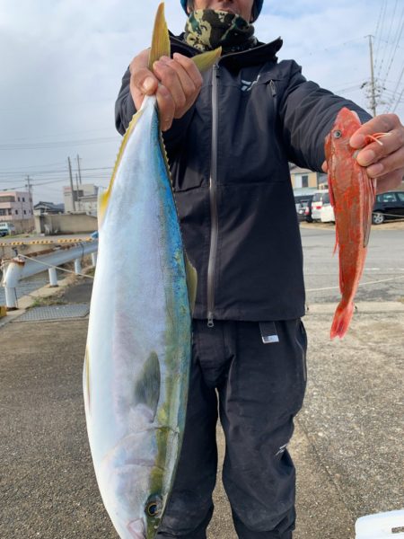 みやけ丸 釣果