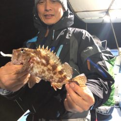 ヤザワ渡船 釣果