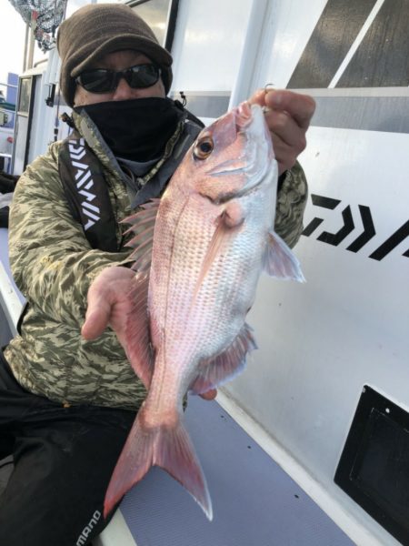 新幸丸 釣果