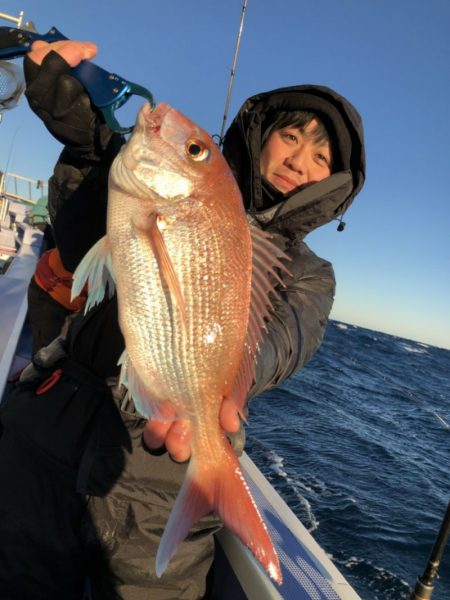 新幸丸 釣果