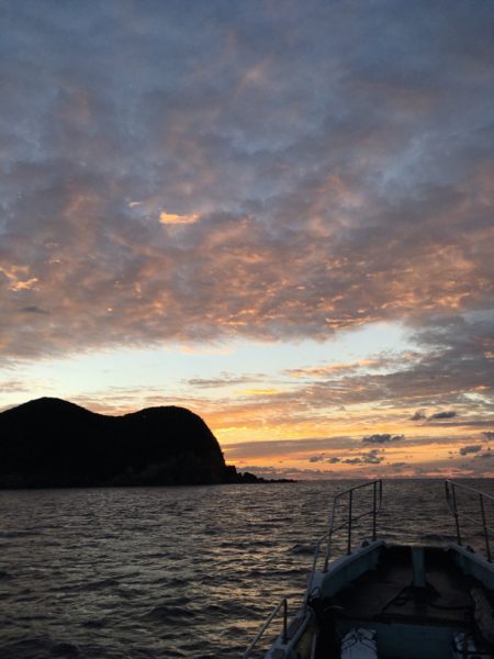 渡船屋たにぐち 釣果