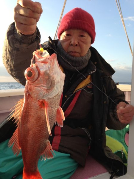 晃山丸 釣果