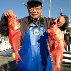 晃山丸 釣果