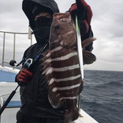 渡船屋たにぐち 釣果