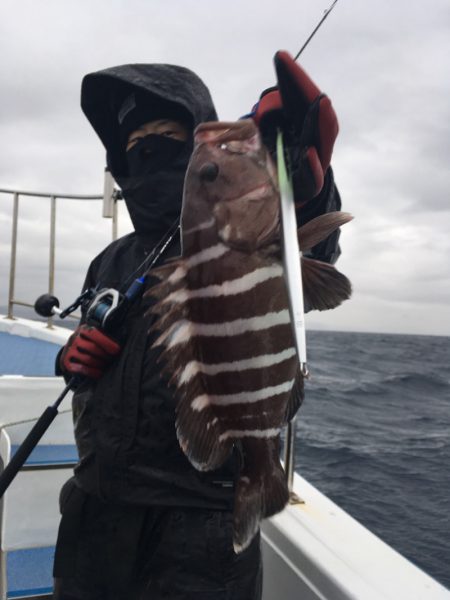 渡船屋たにぐち 釣果