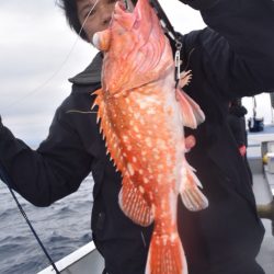 渡船屋たにぐち 釣果