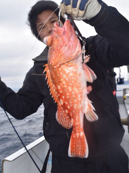 渡船屋たにぐち 釣果