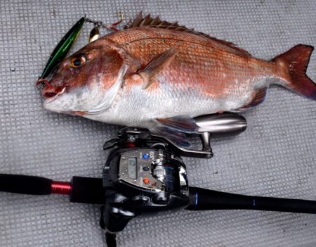 渡船屋たにぐち 釣果