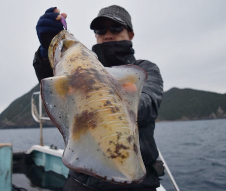 渡船屋たにぐち 釣果