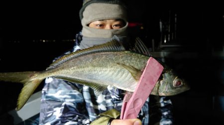 シースナイパー海龍 釣果