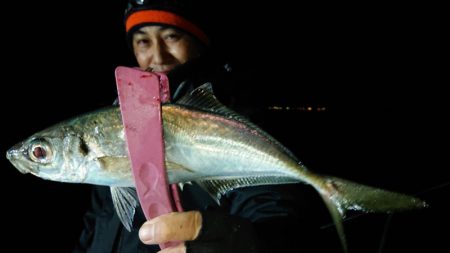 シースナイパー海龍 釣果