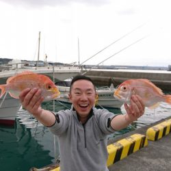 だて丸 釣果