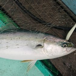 和栄丸 釣果