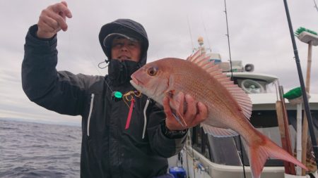 だて丸 釣果