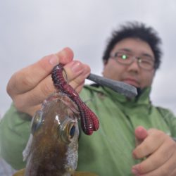 渡船屋たにぐち 釣果