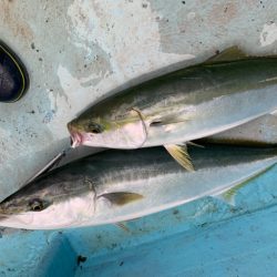 みやけ丸 釣果