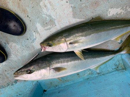 みやけ丸 釣果