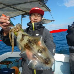 きずなまりん 釣果