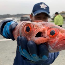 ぽん助丸 釣果