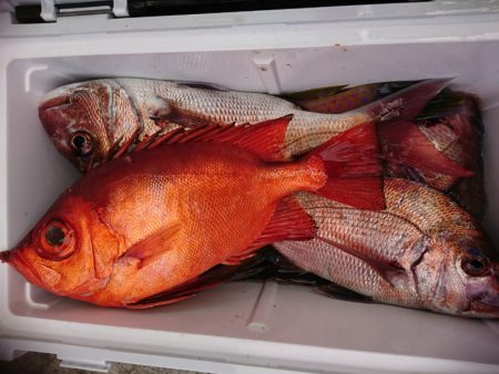 新幸丸 釣果